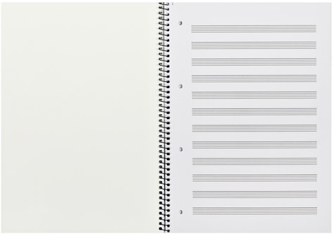 Collegeblok Oxford A4+ muziek 4-gaats 100 pagina's 80gr blauw-2