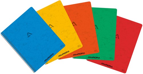 Schrift Aurora 210x165mm ruit 5x5mm 120 pagina's 80gr assorti