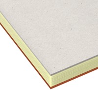 Cursusblok Oxford Orange Notepad A4+ lijn 4-gaats 160 pagina's 80gr oranje-3