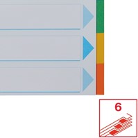 Tabbladen Esselte Standaard A4 6-delig karton 11-rings met voorblad assorti-4
