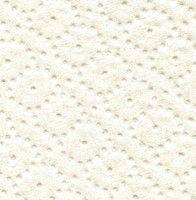 Handdoekrol Satino PT1 Comfort 2-laags 150m wit 317940-2