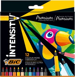 Kleurstiften Bic Intensity Premium assorti etui à 12 stuks