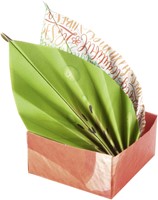 Vouwblaadjes Folia 80gr 15x15cm 50 vel 2-zijdig 10 tropical designs-3