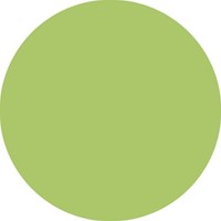 Fineliner STABILO point 88/34 fijn pistache-3