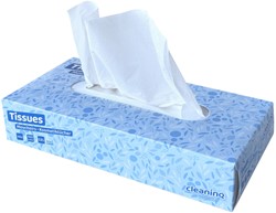 Facial tissues Cleaninq 2-laags 100stuks
