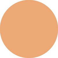 Fineliner STABILO point 88/25 fijn pastel oranje-3