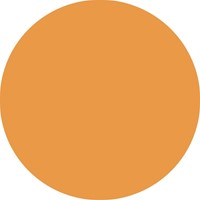 Viltstift STABILO Pen 68/85 medium papaja-3