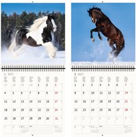 Kalender 2027 Helma 365 30x30cm paarden-3