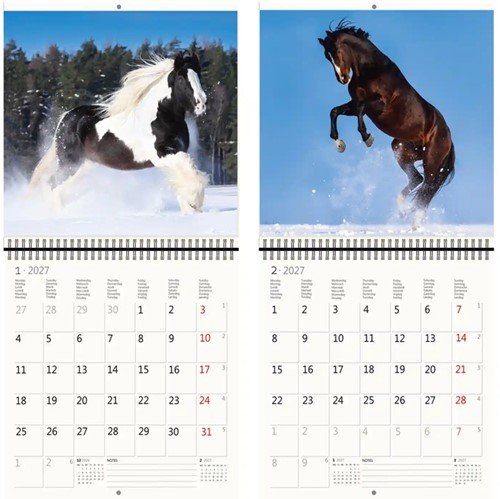 Kalender 2027 Helma 365 30x30cm paarden-3
