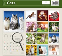 Kalender 2027 Helma 365 30x30cm katten-2