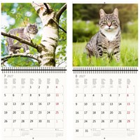 Kalender 2027 Helma 365 30x30cm katten-3