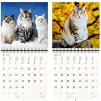 Kalender 2027 Helma 365 30x30cm katten-1