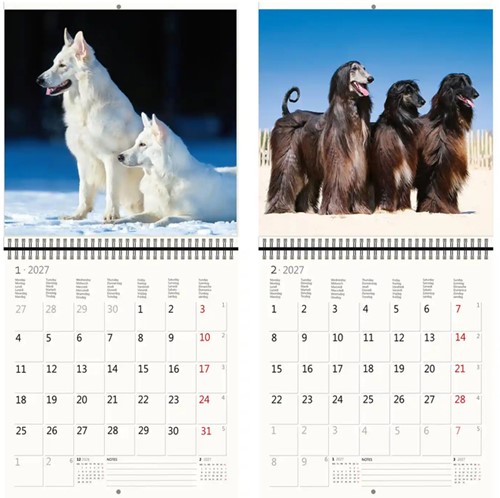 Kalender 2027 Helma 365 30x30cm honden-3