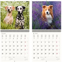 Kalender 2027 Helma 365 30x30cm honden-1