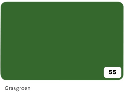 Fotokarton Folia 300gr 50x70cm 10vel 55 grasgroen