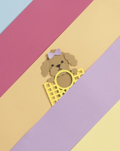 Fotokarton Folia 300gr 50x70cm 10 chamois-3