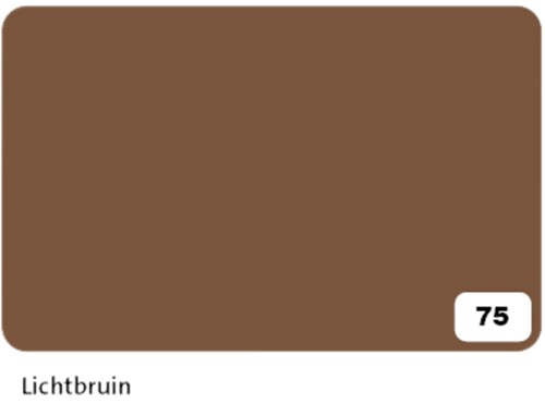 Fotokarton Folia 300gr 50x70cm 10vel 75 reebruin