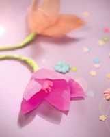 Crêpepapier Folia 50x250cm 10vel 122 donkerviolet-3