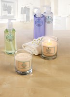 Etiket Avery L7780-25 rond 40mm transparant 600 etiketten-3