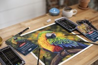 Kleurpotloden Derwent Chromaflow set à 24 kleuren-5