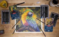 Kleurpotloden Derwent Chromaflow set à 24 kleuren-3