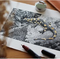 Tekenset rOtring Isograph 7-delig-3