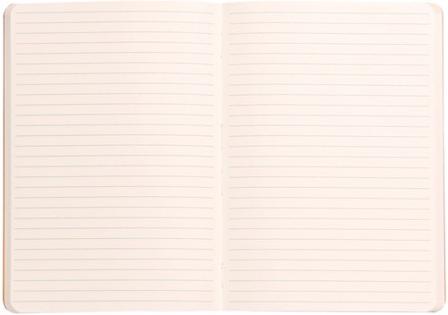 Notitieboek Rhodia A5 lijn 80 vel 90gr saliegroen-2