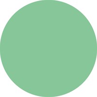 Kleurpotloden STABILO 880 woody 3 in 1 multitalent pastel groen-2