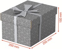 Opberg- en geschenkdoos Esselte home klein 200x150x255mm gr 3 st-3