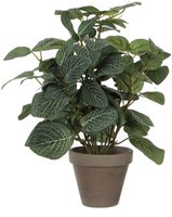 Kunstplant Mica Pilea in pot Ø11,5cm 35x25cm