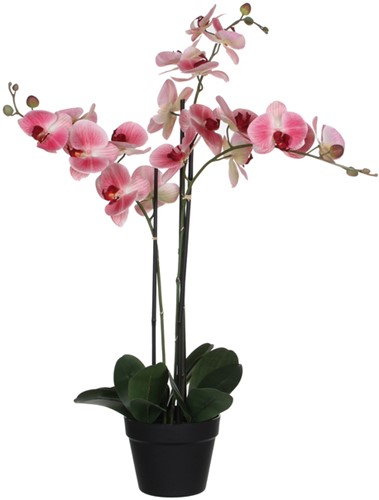 Kunstplant Mica Phalaenopsis orchideeën roze in plastic pot 79x51cm