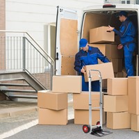 Steekwagen BRASQ stalen plateau 90 kg-6