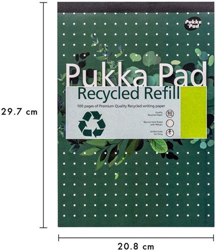 Schrijfblok Pukka Pad Recycled A4 lijn 4-gaats 100 vel 80gr-3