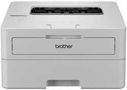 Printer Laser Brother HL-L2865DW