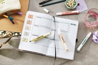 Markeerstift STABILO Swing cool nature colors warmgrijs-3