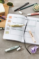 Markeerstift STABILO Swing cool nature colors sienna-2