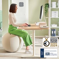 Actieve zitbal Leitz Ergo 65cm anti-rol design-3