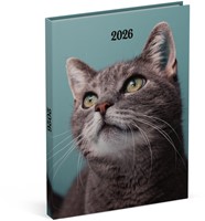 Agenda 2026 Lannoo 110x150 My favourite friends 7dagen/2pagina's cats