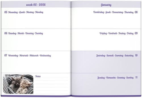 Agenda 2026 Lannoo 110x150 My favourite friends 7dagen/2pagina's cats-2