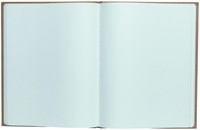 Gastenboek Exacompta Graphik 270x220mm blanco kraft-2
