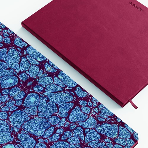 Notitieboek de KEMPEN Amarone 171x220mm blanco 192 pagina's  90gr drd-2