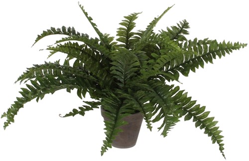Kunstplant Mica Boston varen groen in pot Ø50cm 42cm