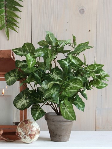 Kunstplant Mica Syngonium groen in pot Ø25 35cm-3