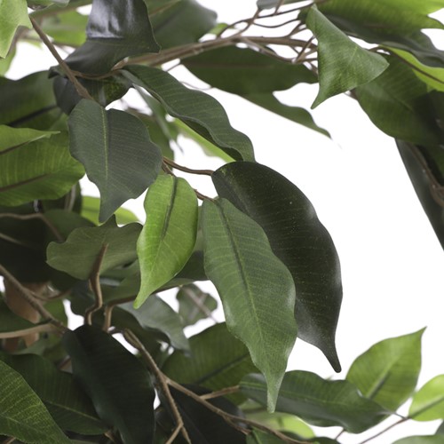 Kunstplant Mica Ficus groen in plastic pot Ø85 150cm-2