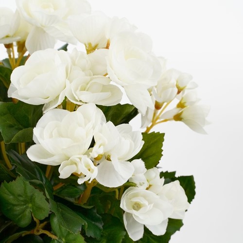 Kunstplant Mica Begonia wit in pot Stan grijs Ø25 30cm-2
