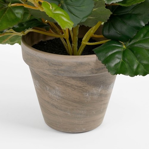 Kunstplant Mica Begonia wit in pot Stan grijs Ø25 30cm-3