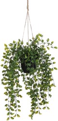 Kunstplant Mica Ficus hangend in pot groen Ø20 46cm