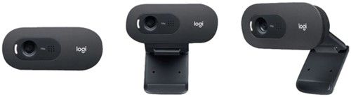 Webcam Logitech C505e