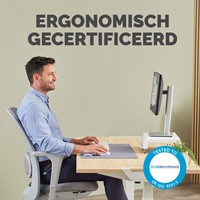 Polssteun Fellowes Breyta palm grijs-4