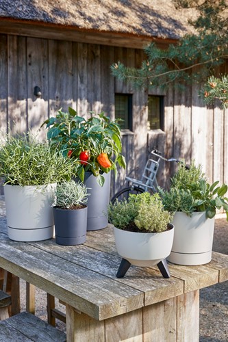 Plantenpot Mica Coco met schotel rond hoogte 29,5 Ø28 cm grijs-2